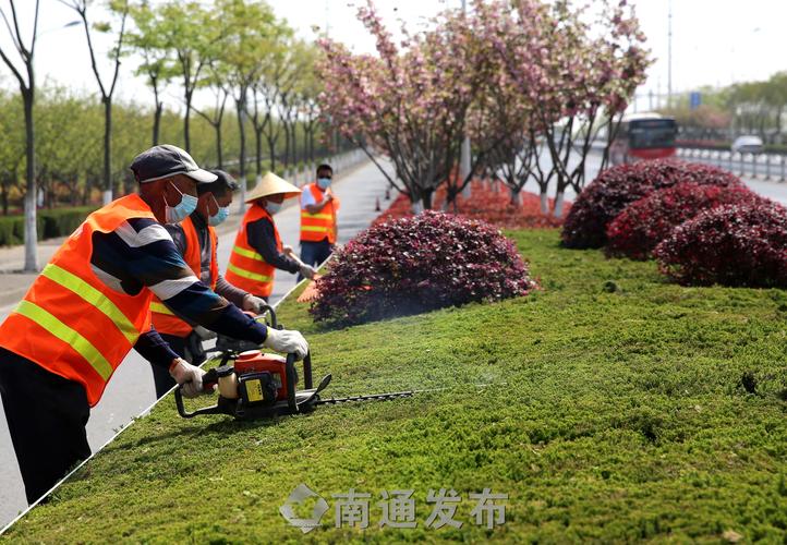 如何做荒山绿化工程设计