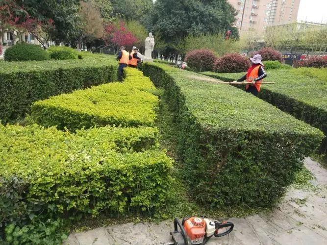 威宁县园林绿化工程