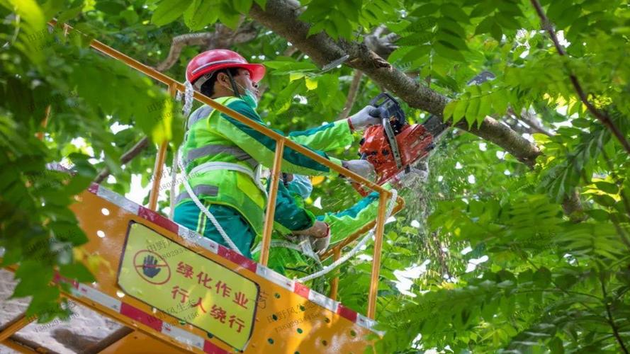 绿化工程包清工价